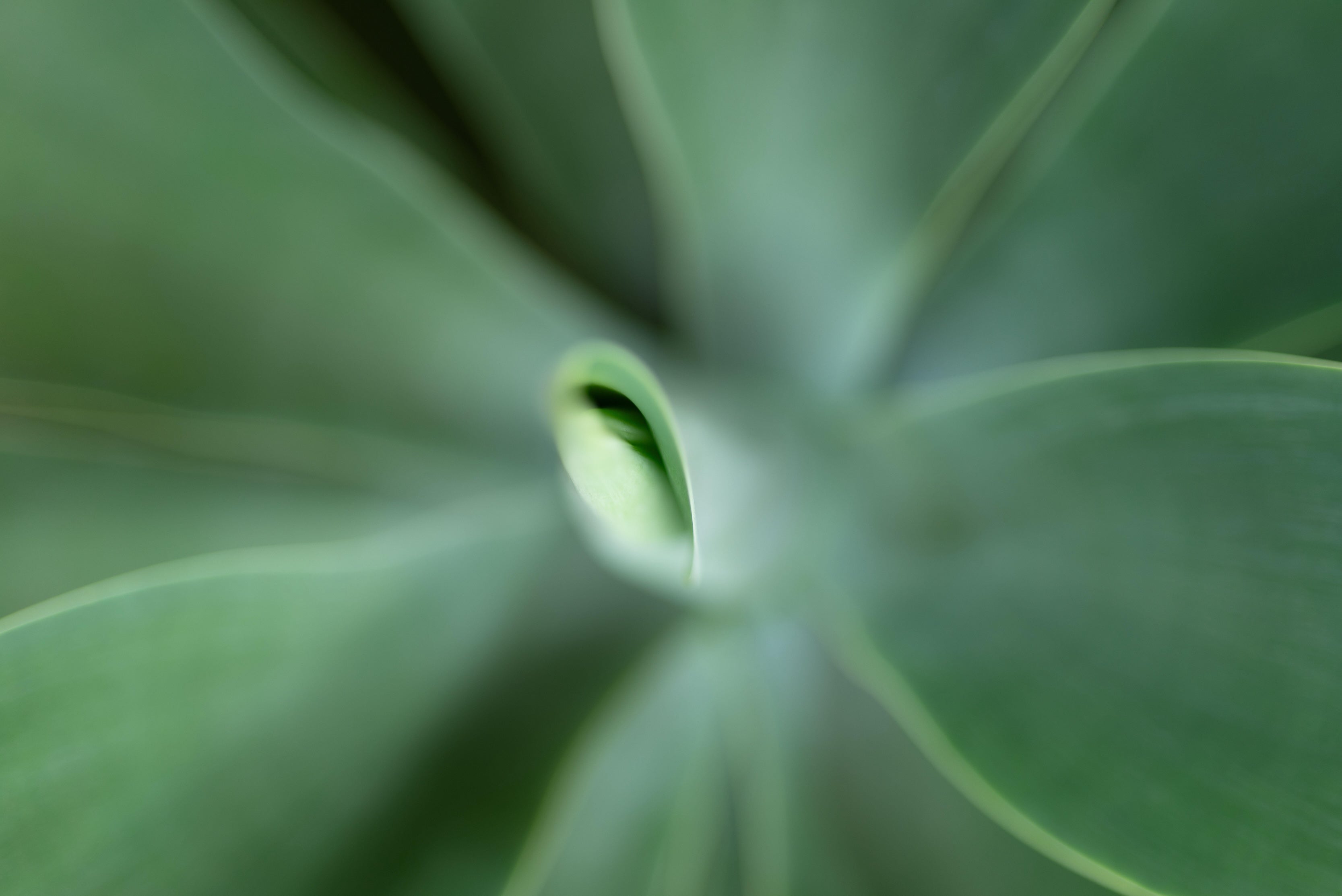 Vulvar/Vaginal Health
