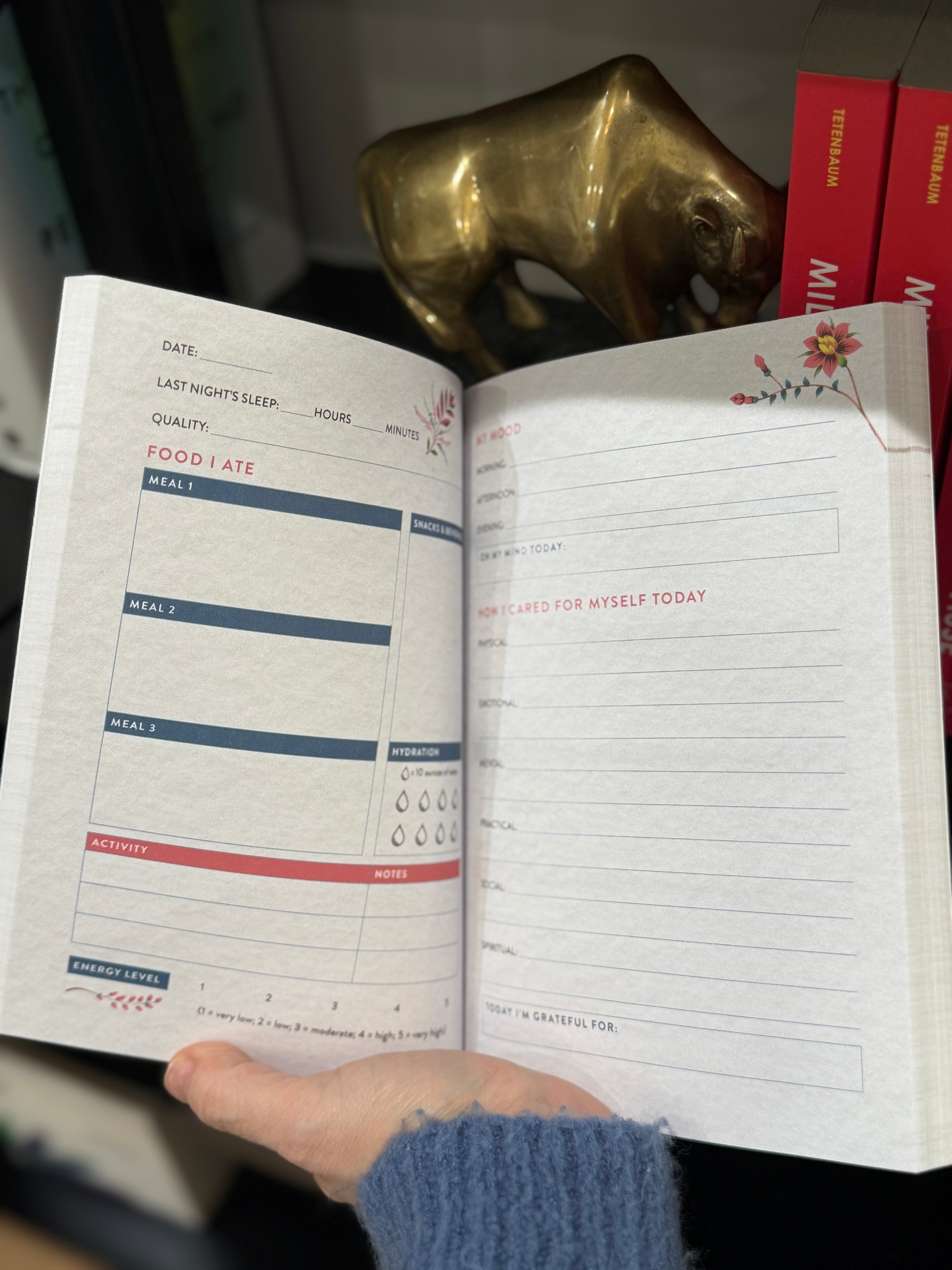 Self-Care Health Journal: A 90-Day Food, Fitness, and Well-Being Tracker