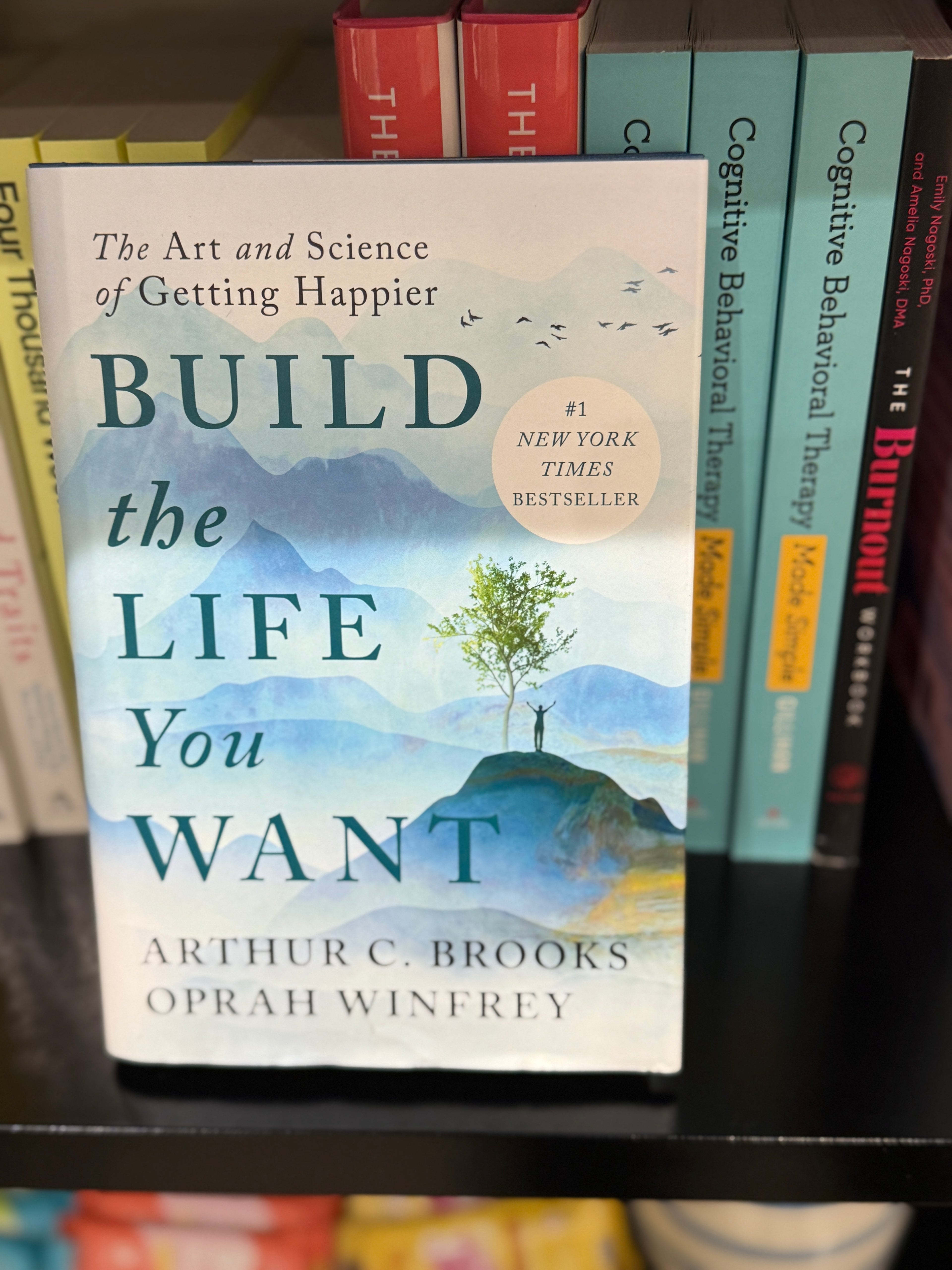 Build the Life You Want: The Art and Science of Getting Happier
